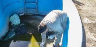 Nuevos casos de dengue y chikungunya en la última semana epidemiológica en la provincia