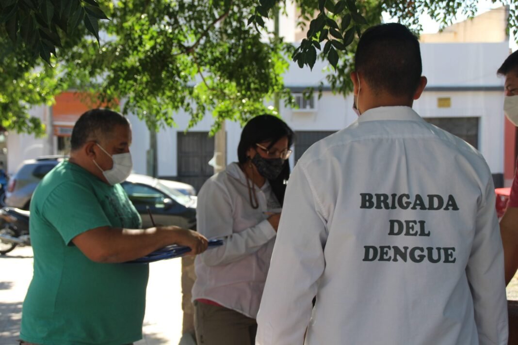 Prevención del dengue: refuerzan medidas para eliminar criaderos