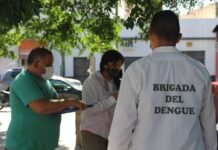 Prevención del dengue: refuerzan medidas para eliminar criaderos