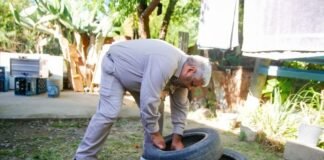 Siguen las acciones preventivas contra el Dengue