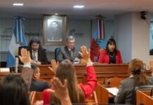 El Senado convirtió en ley el proyecto minero «Diablillos-Plata»