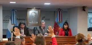 El Senado convirtió en ley el proyecto minero «Diablillos-Plata»