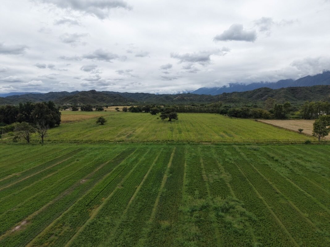 Especialistas del INTA brindarán una capacitación sobre drones agrícolas en Catamarca