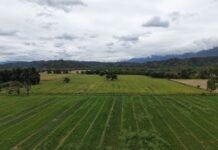 Especialistas del INTA brindarán una capacitación sobre drones agrícolas en Catamarca