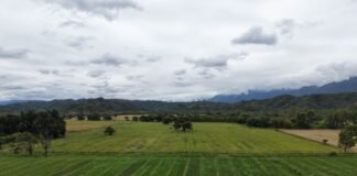 Especialistas del INTA brindarán una capacitación sobre drones agrícolas en Catamarca