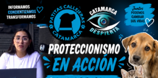 🔥🐾 PROTECCIONISMO EN ACCIÓN 🐾🔥