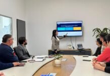 ¿Qué es la plataforma Redes de Transporte SFVC? Te lo explicamos: