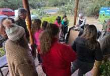 Turismo en la Capital: el fin de semana largo generó un impacto económico superior a los $612 millones