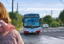 Desde hoy está operativo el beneficio del Marcatón Transporte