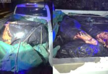 🚔 Seis demorados y secuestro de una camioneta tras un operativo en El Rodeo
