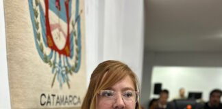 LLA exige un informe urgente sobre el estado de las cámaras del SAE 911 y pide auditar el Centro de Monitoreo Municipal