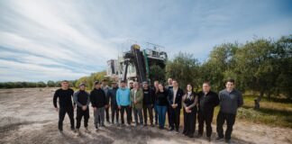 Pomán consolida su perfil olivícola con inversiones y proyección de crecimiento