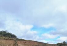 Trabajos de mantenimiento y conservación en Ruta Provincial N° 1