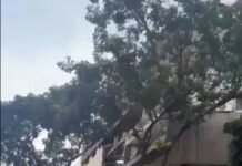 Un fuerte terremoto de 7,1 grados sacudió Venezuela: pánico y edificios colapsados