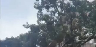 Un fuerte terremoto de 7,1 grados sacudió Venezuela: pánico y edificios colapsados