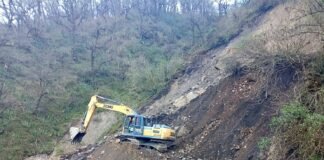 Comenzaron los trabajos de despeje sobre la Ruta Provincial N° 48