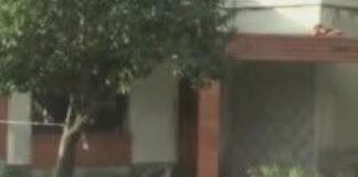 CONMOCIÓN POR EL MACABRO CRIMEN DE NORMA TULA EN LA CHACARITA