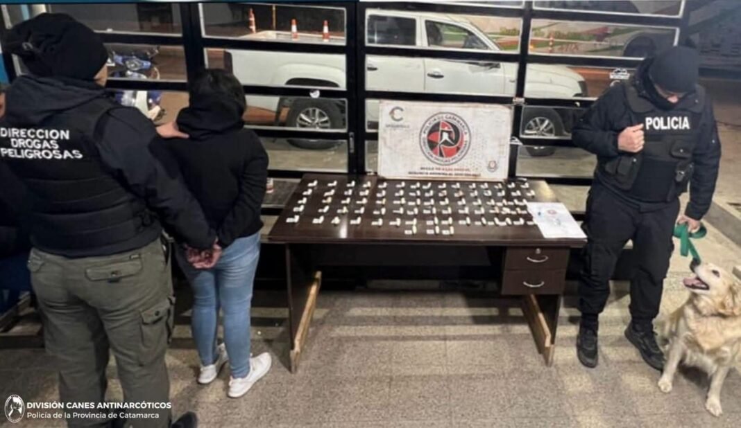 Detienen a una mujer con cocaina en el Portezuelo