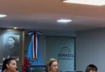 La Comisión de Salud avanzó en el análisis de iniciativas para ampliar el acceso a los medicamentos