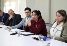 Ministros de Salud del Norte Grande acordaron acciones conjuntas para garantizar las prestaciones de Incluir Salud