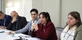 Ministros de Salud del Norte Grande acordaron acciones conjuntas para garantizar las prestaciones de Incluir Salud