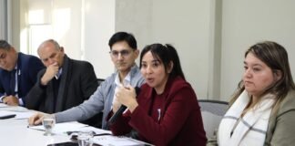 Ministros del Norte Grande acordaron acciones conjuntas para garantizar las prestaciones de Incluir Salud