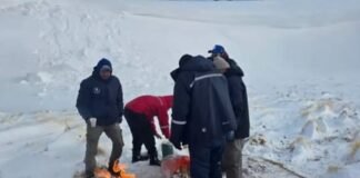 Rescataron a los cuatro mineros en la puna desaparecidos desde el domingo