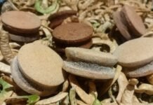 Turismo Capital invita a hacer un viaje por los sabores nativos
