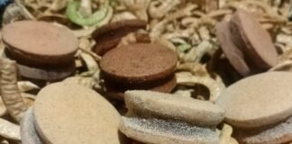 Turismo Capital invita a hacer un viaje por los sabores nativos