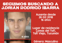 Adrián Rodrigo Ibarra