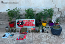 Catamarca: detuvieron a una mujer y le secuestraron cocaína y marihuana en Valle Viejo