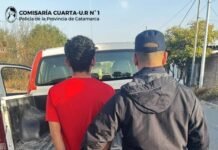 Catamarca: joven de 20 años fue detenido por golpear a su pareja, y de paso le secuestraron plantines de marihuana