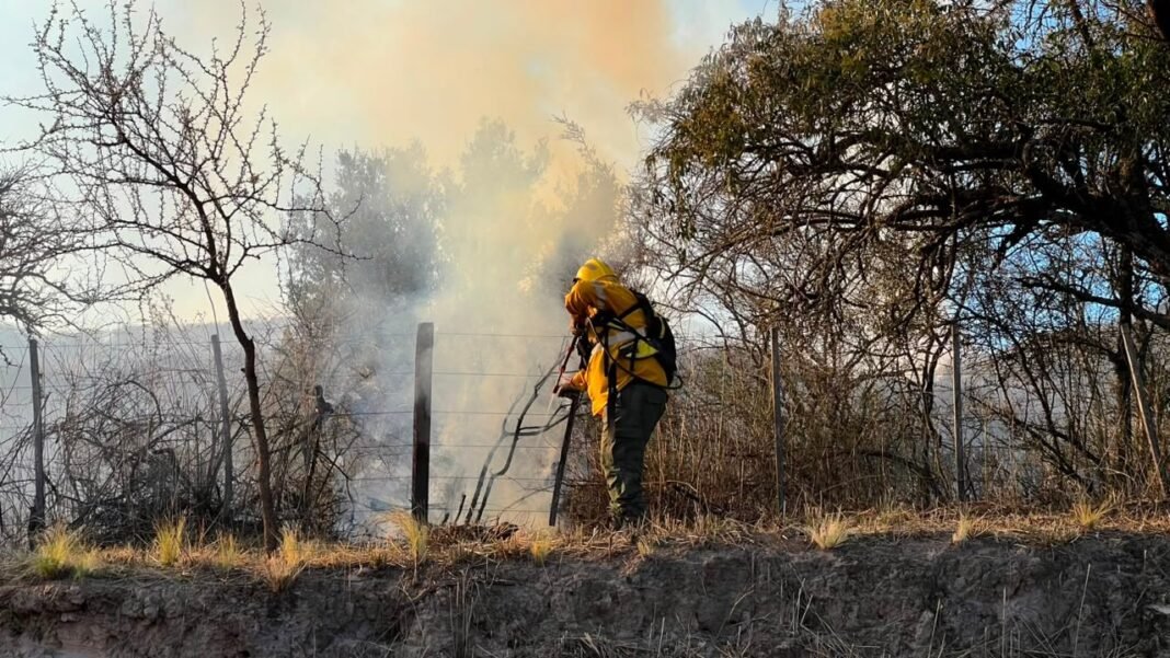 El Gobierno despliega amplio operativo para combatir los incendios en El Rodeo
