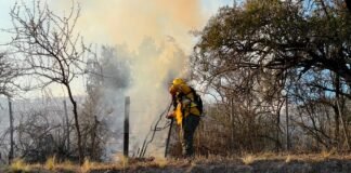El Gobierno despliega amplio operativo para combatir los incendios en El Rodeo