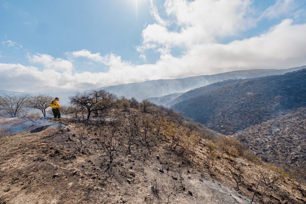 El incendio en El Rodeo permanece contenido y bajo monitoreo permanente