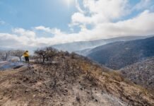El incendio en El Rodeo permanece contenido y bajo monitoreo permanente