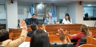 El Senado avanzó con nuevas leyes, iniciativas de protección de derechos y obras de infraestructura