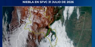 🌫️ Niebla en SFVC