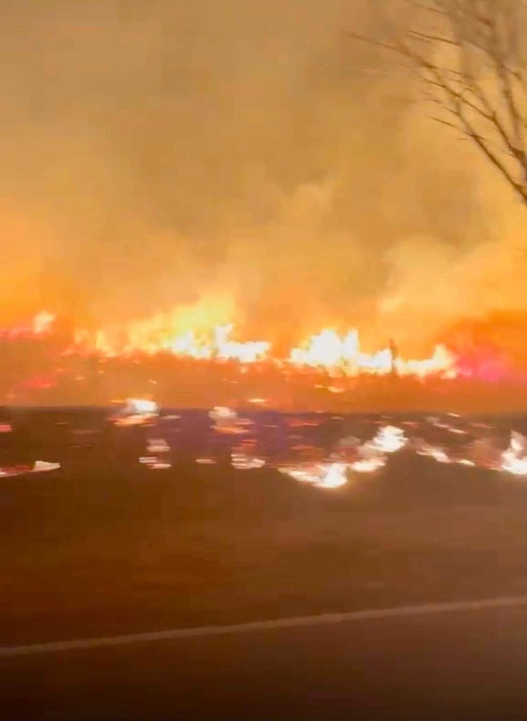 Grave Incendio Forestal en Ruta Provincial 4