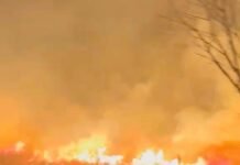 Grave Incendio Forestal en Ruta Provincial 4