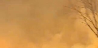 Grave Incendio Forestal en Ruta Provincial 4