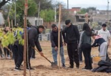 Gustavo encabezó una jornada de forestación en el canal de Choya por el Día del Árbol