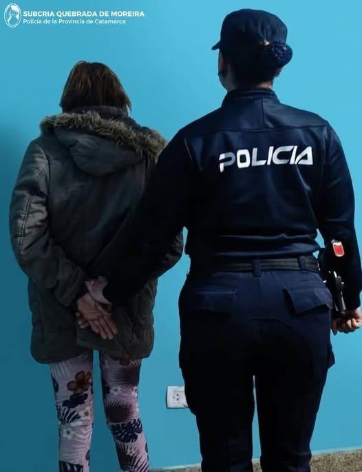 Mujer detenida por sustraer un celular