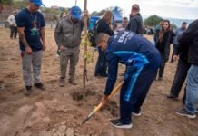 Saadi encabezó una jornada de forestación en el canal de Choya por el Día del Árbol