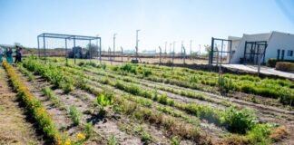 «Sembrando Bienestar»: Gustavo puso en valor la huerta urbana y terapéutica en Valle Chico