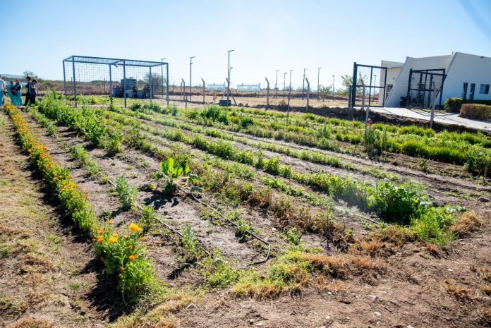 «Sembrando Bienestar»: Gustavo puso en valor la huerta urbana y terapéutica en Valle Chico