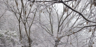Catamarca: este domingo nevó el Los Ángeles, Las Chacritas, Aconquija y otras localidades
