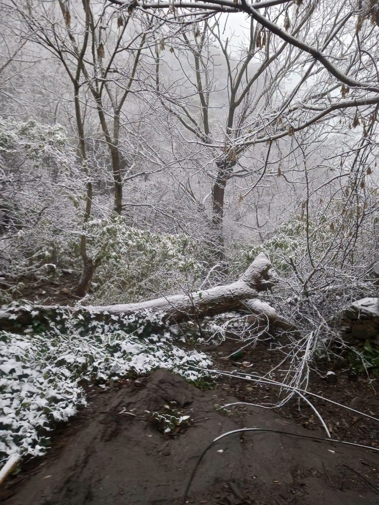 Catamarca: este domingo nevó el Los Ángeles, Las Chacritas, Aconquija y otras localidades