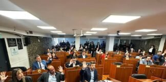 Cinco proyectos aprobados en la sesión de Diputados