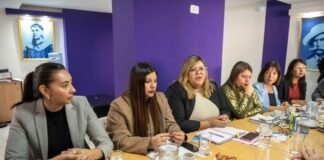 Desde Salud y el Senado, avanza el proyecto de ley de Salud Mental de la provincia